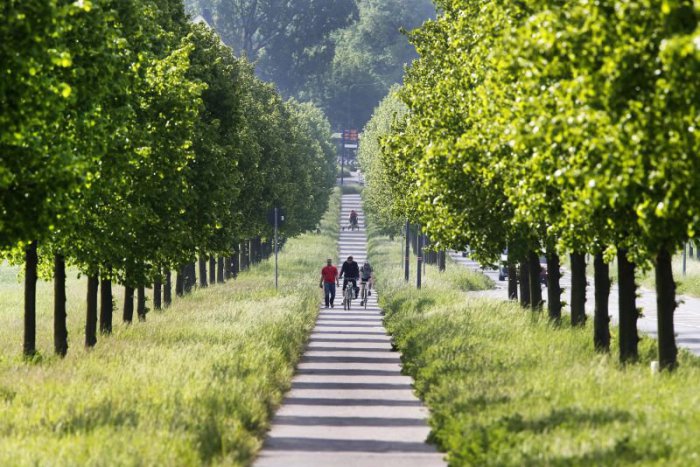 Ilustračný obrázok k článku RANNÁ ŠTVORKA: Jar či leto? Teploty sa priblížia tridsiatke, hrozia aj búrky