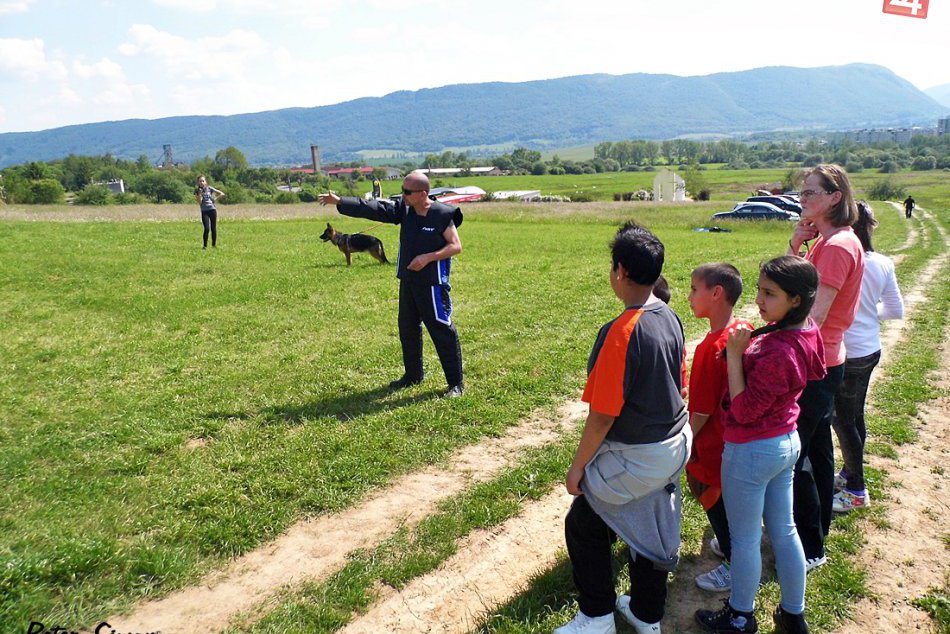 Ilustračný obrázok k článku Klub športovej kynológie v Rožňave pre deti: Výcvik psov si pozreli krok po kroku, FOTO