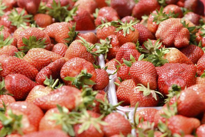 Ilustračný obrázok k článku Jahodová mapa Slovenska. Ako získať voňavé ovocie za rozumnú cenu?