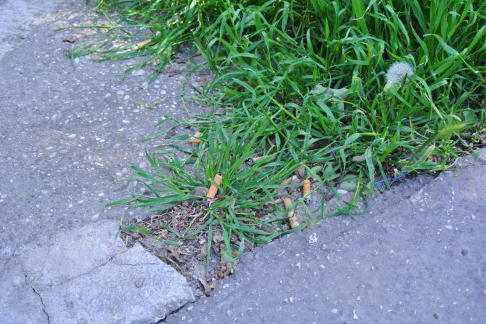 Ilustračný obrázok k článku Nové Mesto nainštaluje koše na cigaretové ohorky