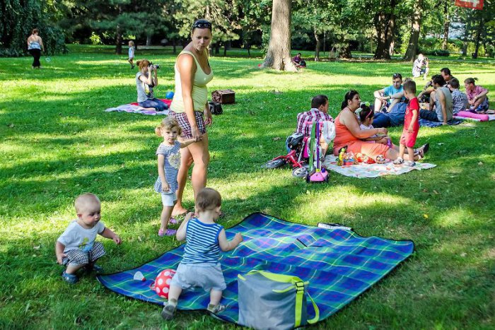 Ilustračný obrázok k článku Z KAŽDÉHO KÚTA: V Mlyňanoch sa chystá vojna záhradkárov, vyhnúť sa jej môžete na pikniku pri Bratislave