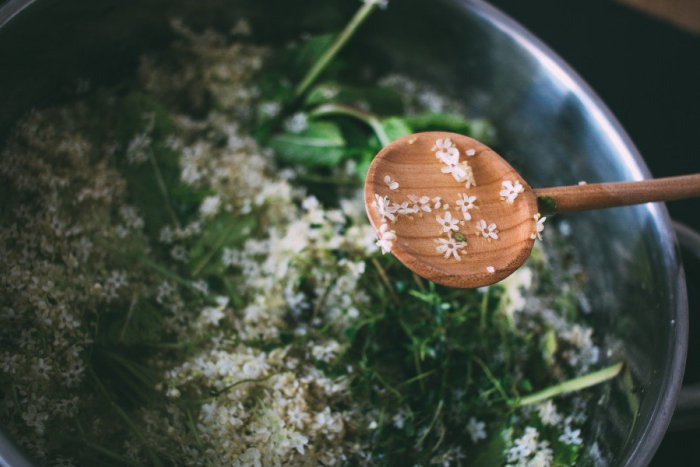 Ilustračný obrázok k článku Redakcia radí: Bratislava rozkvitla bazou, pripravte si chutný domáci sirup