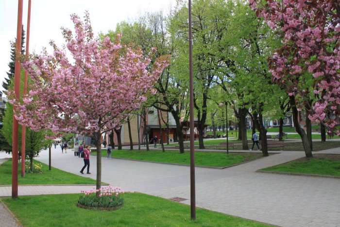 Ilustračný obrázok k článku Vieme, aké počasie nás čaká cez víkend: Radosť budú mať záhradkári