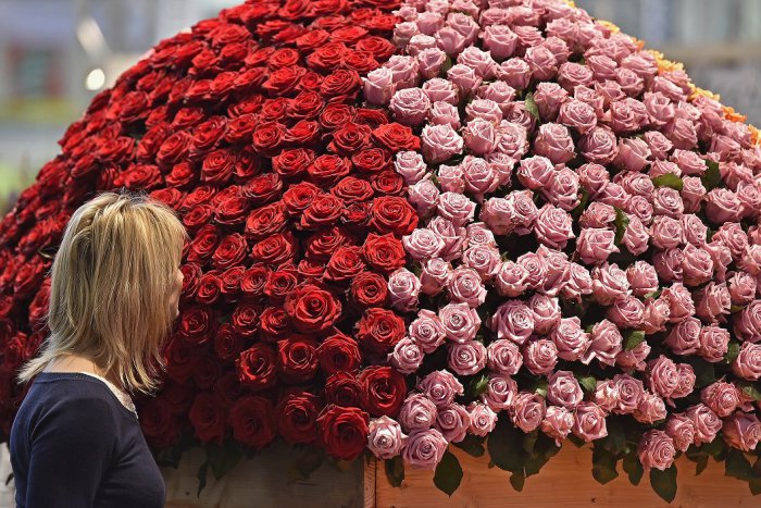 Ilustračný obrázok k článku Pri Trnave môžete ochutnať super špecialitu: Medovina z lupeňov ruže!