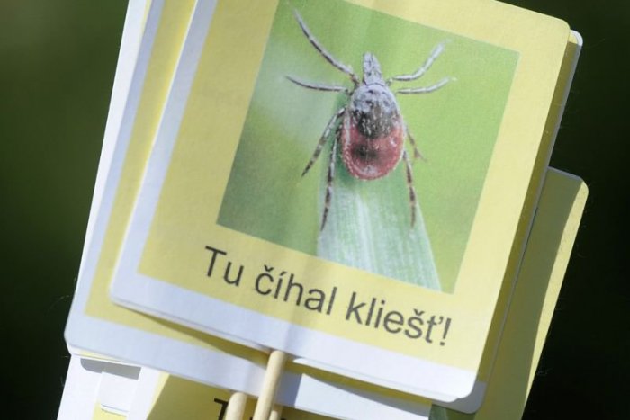 Ilustračný obrázok k článku Kliešťová mapa: Najnovšie si treba dať pozor aj na jašterice, pre psov je hrozbou kliešť pijak