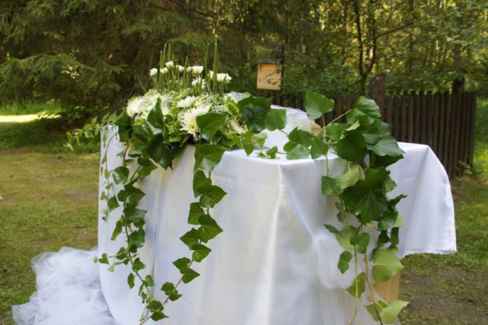 Ilustračný obrázok k článku Brezňania vybrali: Ktoré miesto v meste a okolí považujú za najkrajšie na svadbu?