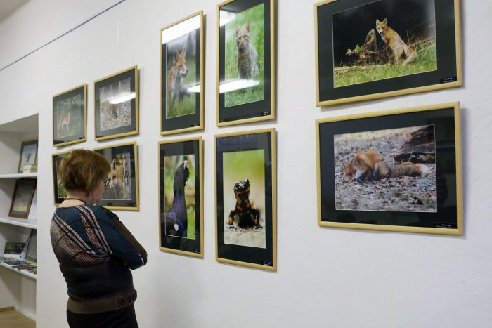 Ilustračný obrázok k článku Výstavy dokumentárnej a experimentálnej fotografie si môžete pozrieť v SEDFe