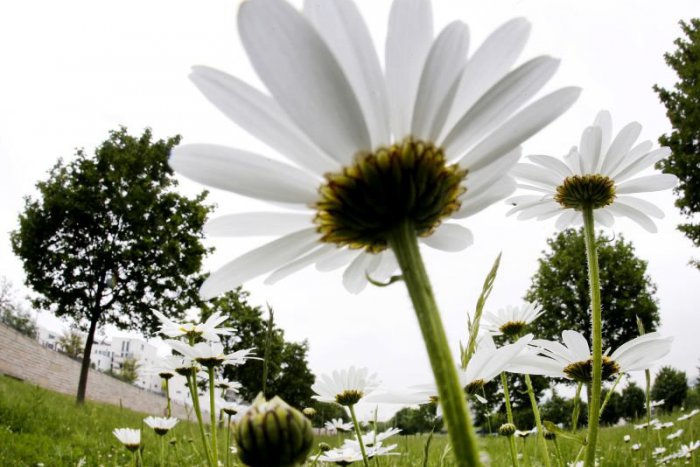 Ilustračný obrázok k článku RANNÁ ŠTVORKA: Zabudnite na kúpaliská, víkend bude s búrkami. Ako by ho prežil Casanova?