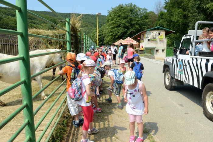 Ilustračný obrázok k článku Košickú zoologickú záhradu zasiahla smutná správa: Bude mať o jedného člena menej!