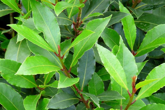 Ilustračný obrázok k článku RANNÁ ŠTVORKA: Pozor na búrky! Do pohody vás dostane Kenny G