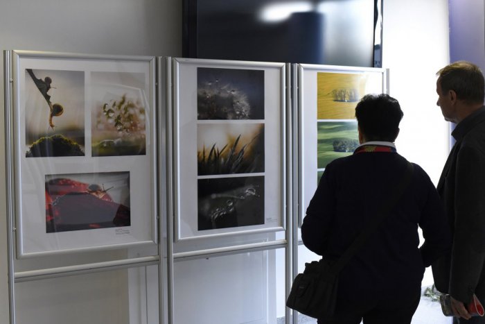 Ilustračný obrázok k článku Krajské kolo amatérskej fotografie odhalí najlepšie práce