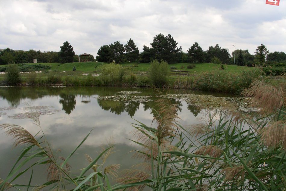 Ilustračný obrázok k článku Botanická záhrada v Nitre láka návštevníkov: Tešiť sa môžete na TIETO podujatia