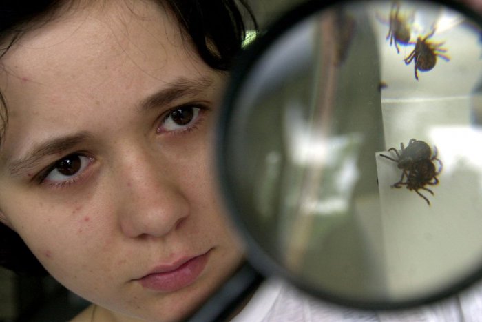 Ilustračný obrázok k článku Majte oči na stopkách: 3 miesta v okolí Považskej s výskytom nakazených kliešťov