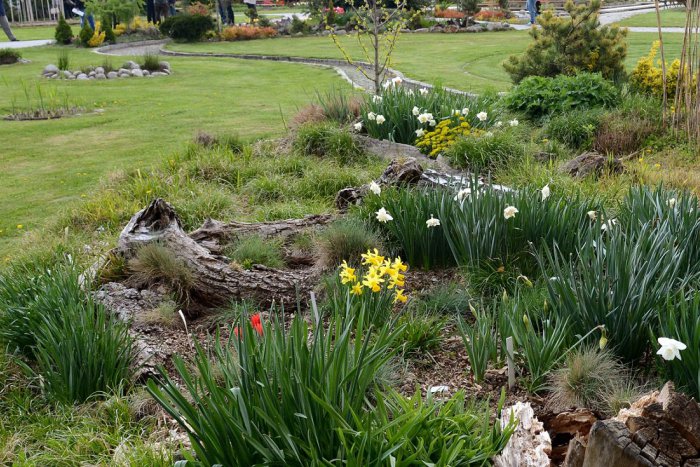 Ilustračný obrázok k článku Botanická záhrada v Košiciach: Letný festival tvorivosti a relaxu prinesie množstvo lákadiel