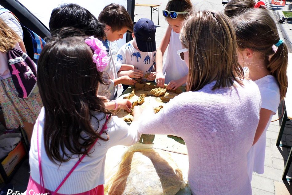 Ilustračný obrázok k článku Prvý župný MDD v Trnave: Jazda na ťave aj rôzne lákadlá