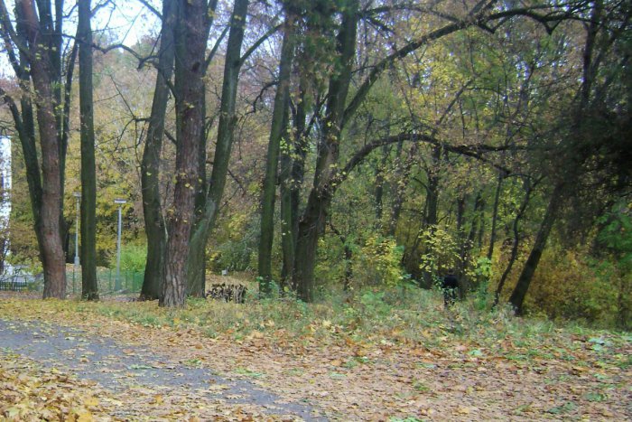 Ilustračný obrázok k článku Michalovce plánujú revitalizáciu lokality Hrádok za 2,3 milióna: TAKTO ju chcú zatraktívniť