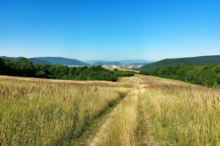 Ilustračný obrázok k článku 10 top výrazov z dedín pri Prešove: Koľkým dokážete porozumieť práve vy? (kvíz)