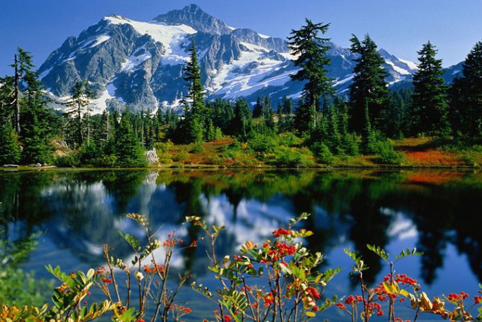 Ilustračný obrázok k článku RANNÁ ŠTVORKA: Prasacia chrípka sa začala šíriť do sveta, Kabát zahrá Colorado