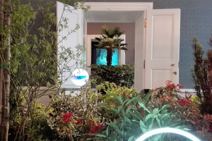 Ilustračný obrázok k článku V Starom Meste vyrástla tropická záhrada