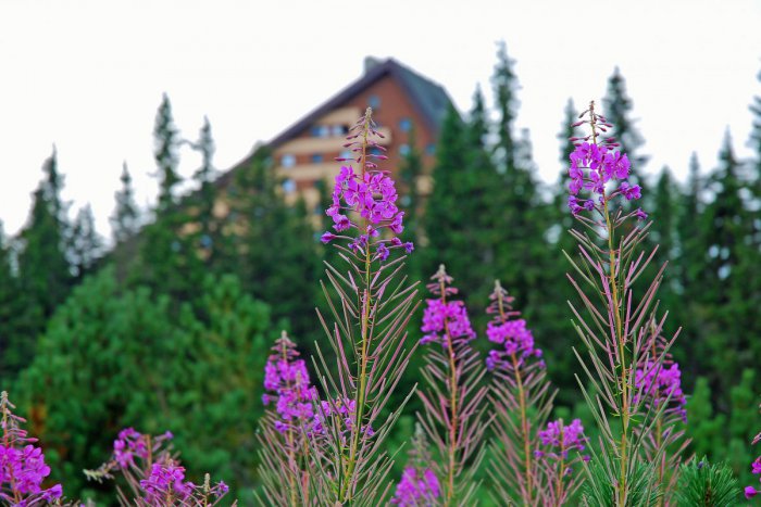 Ilustračný obrázok k článku Tatry Card má 5 rokov: Stále rovnako obľúbená, často využívaná