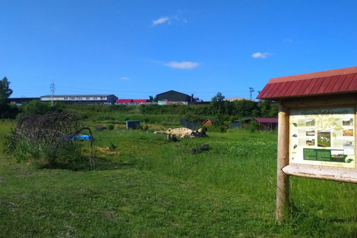 Ilustračný obrázok k článku Akcia, ktorá poteší malých aj veľkých: Už čoskoro si môžeme v Spišskej užiť Letnú slávnosť