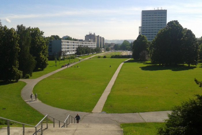 Ilustračný obrázok k článku Medzinárodný deň, ktorý neodignoruje ani Bystrica. V parku sa bude vo veľkom cvičiť