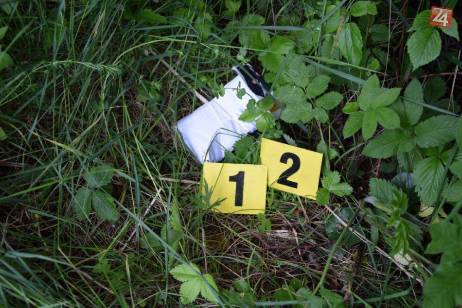 Ilustračný obrázok k článku FOTO: Policajné prenasledovanie pri Brezne skončilo závažným zistením. Čo ukrýval podozrivý balíček?