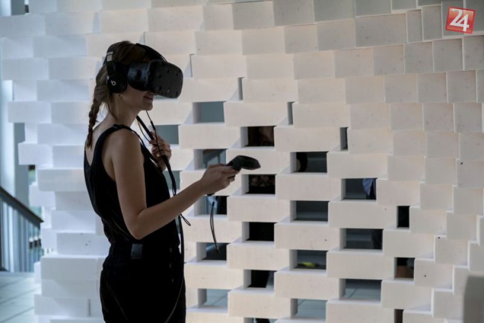 Ilustračný obrázok k článku Kam v Bratislave zadarmo: Valentínsky týždeň odhalí, ako funguje ľudské telo aj dizajn