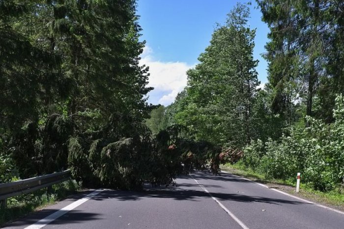 Ilustračný obrázok k článku Z KAŽDÉHO KÚTA: Na západe padali ostré slová politikov, na východe stromy