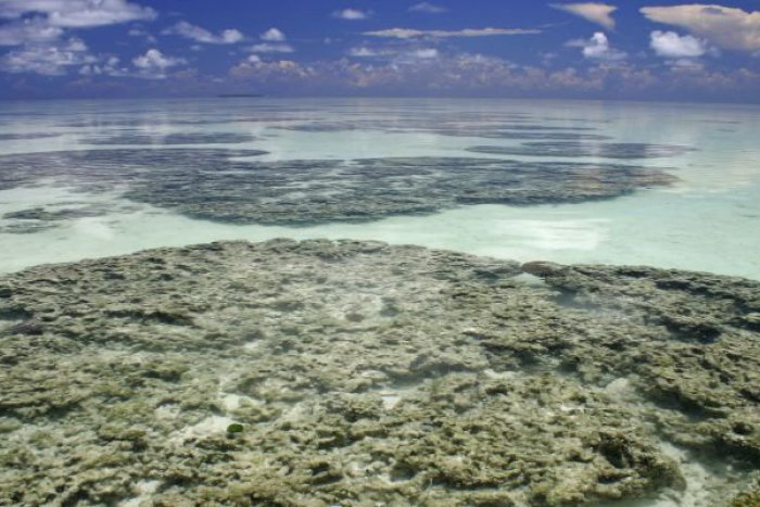 Ilustračný obrázok k článku Časované bomby planéty? Tichý oceán pomaly zaniká, upozorňuje slovenský geograf