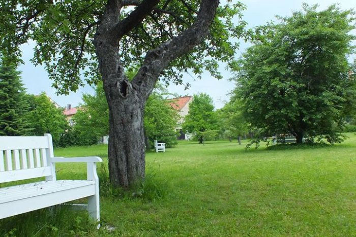 Ilustračný obrázok k článku Záhrada mikulášskej galérie je otvorená: Knihy na čítanie, bohatý program a zaručené miesto na oddych