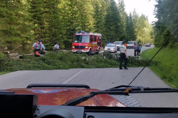 Ilustračný obrázok k článku A je to tu: Vietor lámal stromy, tie padali na cesty