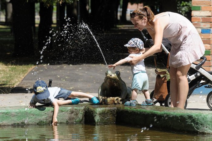 Ilustračný obrázok k článku RANNÁ ŠTVORKA: Múdry radca Alfréd vám azda poradí, ako si užiť nedeľu