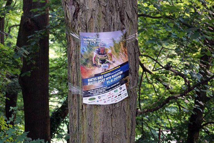 Ilustračný obrázok k článku Problém vizuálneho smogu v Bratislave: Reklame sa neubránia už ani naše lesy