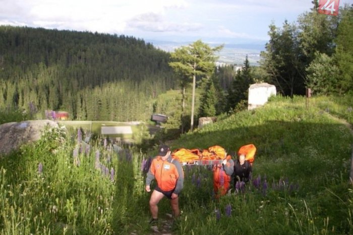 Ilustračný obrázok k článku Smutná prechádzka za hubami: Hubár sa stratil