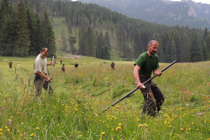 Ilustračný obrázok k článku Tatranská kosba sa rozbehne už o pár dní: Pekne ručne s kosou
