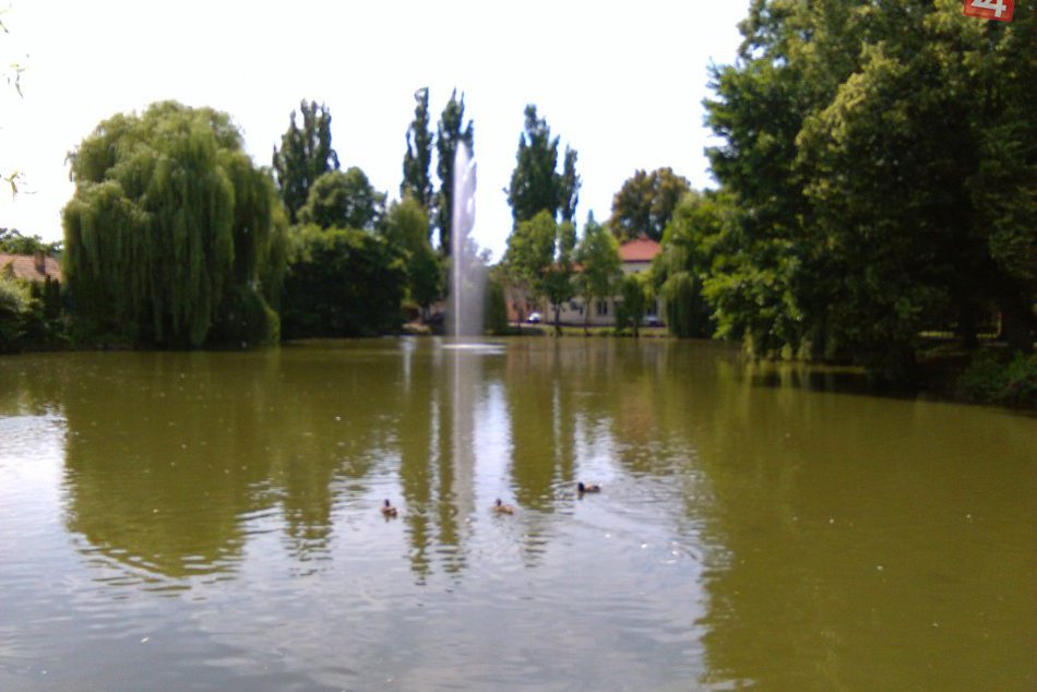 Ilustračný obrázok k článku FOTO: Každý bojuje s horúčavami po svojom. Kuriózny záber z lučeneckého parku