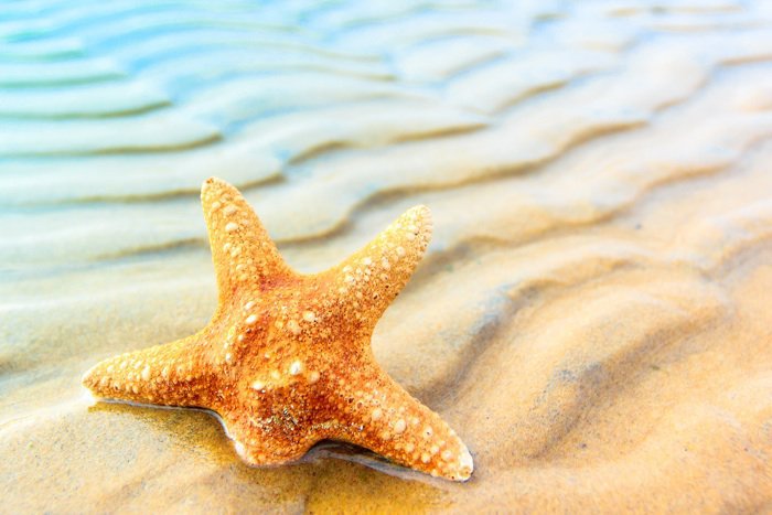 Ilustračný obrázok k článku RADÍME: Riskovať pred odchodom na dovolenku sa neoplatí, môže vás to vyjsť draho