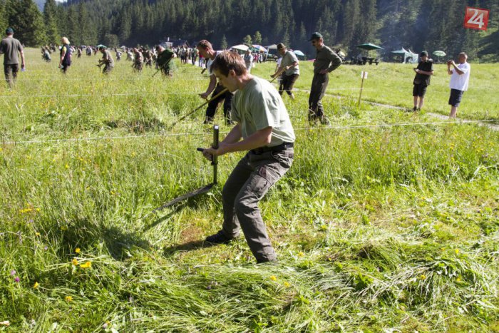 Ilustračný obrázok k článku Tatranská kosba: Bielovodská lúka padla pod rukami koscov