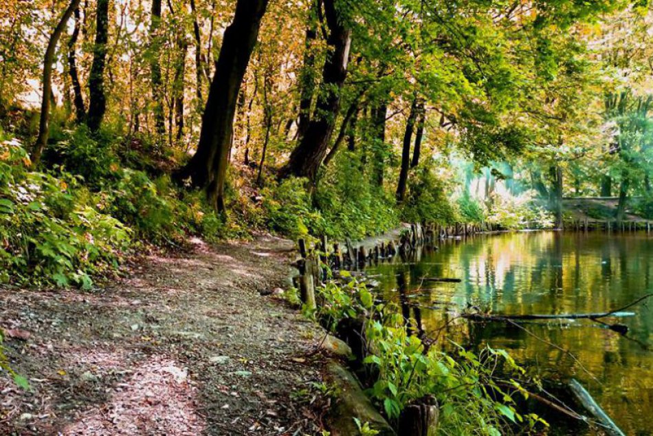 Ilustračný obrázok k článku Koncepcia rozvoja lesoparku rieši rekreačnú funkciu i ochranu prírody