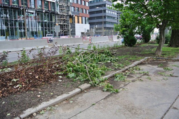 Ilustračný obrázok k článku Hasiči počas búrky odstraňovali polámané konáre, v Devíne sa dnes zosunula pôda