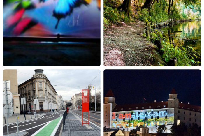 Ilustračný obrázok k článku TOP 5 tém týždňa: Laserová šou nad Dunajom, rozhorčenie ľudí nad ťažbou v lesoch aj predsedníctvom zmenená Bratislava