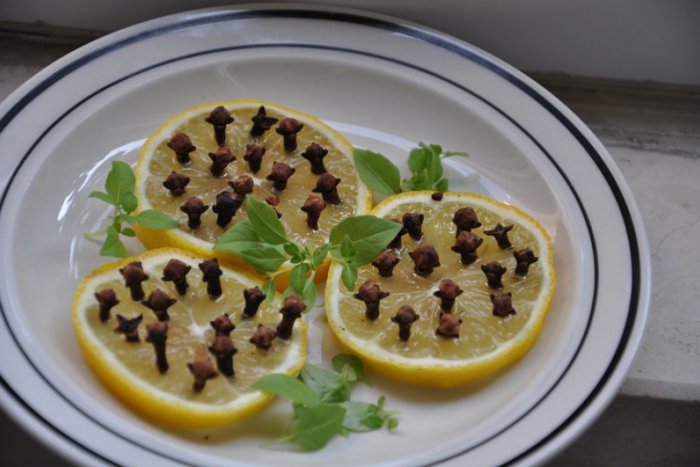 Ilustračný obrázok k článku Znova vás poštípali? Dajte im po nose domácim repelentom + RECEPTY