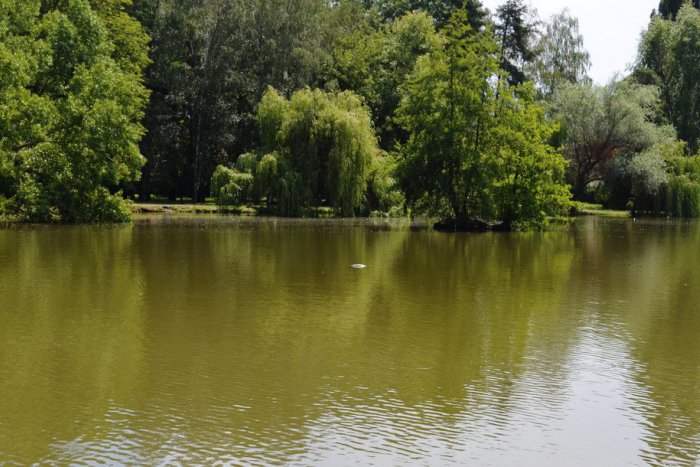 Ilustračný obrázok k článku Fontána v parku nefunguje už pár rokov: Oprava by pomohla aj rybám