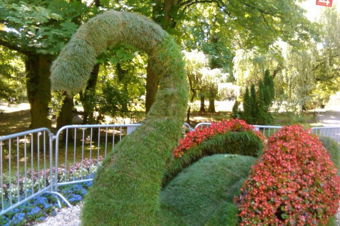 Ilustračný obrázok k článku FOTO: Nádherná novinka v Lučenci. V mestskom parku vyrástla zelená labuť