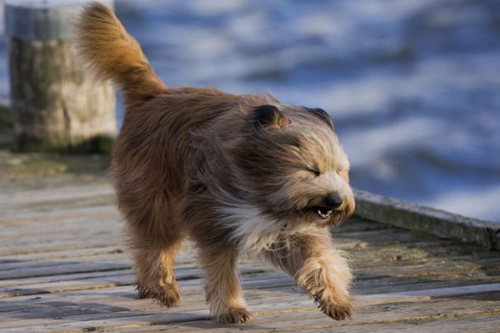 Ilustračný obrázok k článku RANNÁ ŠTVORKA: Sobota bude upršaná, platia aj výstrahy pred silným vetrom