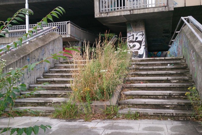 Ilustračný obrázok k článku OBRAZOM: Aj takto vyzerá jedno z bratislavských podmostí