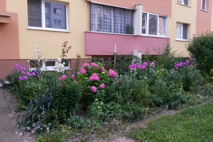 Ilustračný obrázok k článku Je vaša predzáhradka ozdobou ulice? Pochváľte sa fotografiou