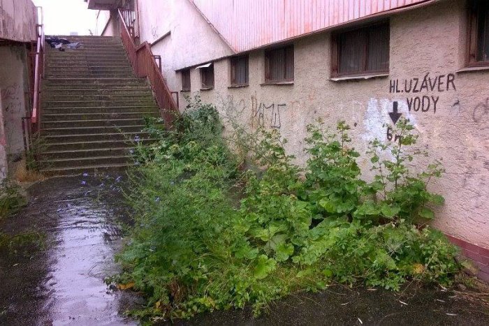 Ilustračný obrázok k článku Dom kultúry Lúky nepôsobí navonok ani zďaleka kultúrne