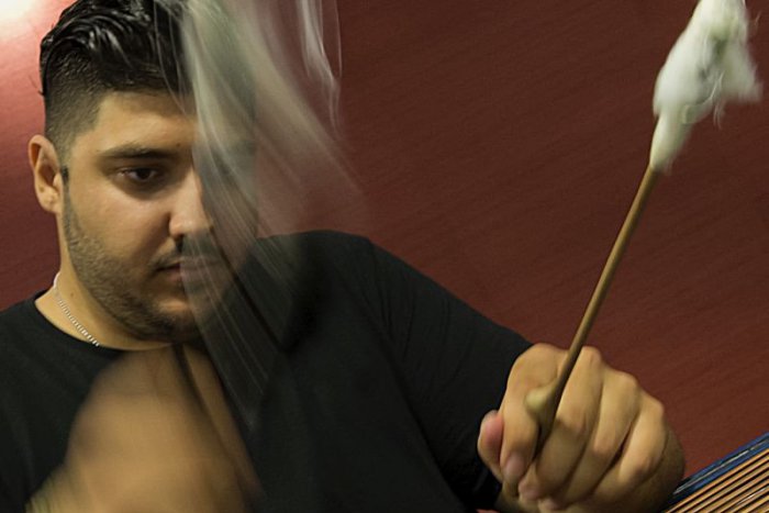 Ilustračný obrázok k článku Do Slovenskej knihy rekordov priletel nový zápis. Vďaka čmeliakovi